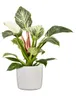 Scheurich Confezione 900 Perla 28 cm, bianco Anteprima dell’immagine prodotto 2