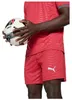 Pantalón corto Puma Portugal 2026 "Rojo" para Hombre Vista previa de la imagen del producto 2