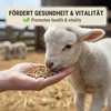 Agrarzone nourriturepour moutons & chèvres granulés 20 kg Voir les images du produit 5