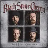 Black Stone Cherry : The Human Condition (180 g) (Édition Voir les images du produit 1