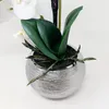 künstliche Orchidee, Phalaenopsis in rundem silbernen Topf Produktbild-Vorschau 4