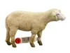 Schleich 13101 Schaf Produktbild-Vorschau 1