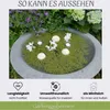 5er Set Teichdeko: 3x Schwimmkugeln Creme aus Keramik & 2x Produktbild-Vorschau 5