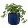 Scheurich Solido, Blumentopf aus Keramik,  Farbe: Mystic Produktbild-Vorschau 3