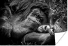 MuchoWow® Poster Liebender Orang-Utan mit Jungtier in Produktbild-Vorschau 1