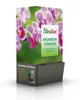 30x 30ml Floraline Orchideen-Vitalkur Ampulle Produktbild-Vorschau 1