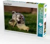 Calvendo Alle meine Gänschen 1000 Teile Puzzle quer Produktbild-Vorschau 1