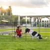 Gartenzaun 5 Paneele 3,5 m, 101 cm H x 71 cm B, Metall, schwarz Productafbeelding-voorbeeld