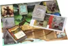 Spirit Island (deutsche Ausgabe) Produktbild-Vorschau 10