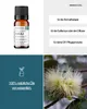 Niauli (10ml) - naturreines, ätherisches Öl von wesentlich Produktbild-Vorschau 2