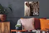 MuchoWow® Poster Schottisches Hochlandrind - Schottische Produktbild-Vorschau 2
