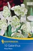 Artikelbild 1 von 'Schneeglöckchen Flore Pleno (10 Stück)' aus der Kategorie Schneeglöckchenzwiebeln Produktbild-Vorschau