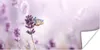 MuchoWow® Poster Lavendel - Schmetterling - Nahaufnahme - Produktbild-Vorschau 1