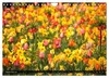 Tulpen (Wandkalender 2027 DIN A4 quer), CALVENDO Produktbild-Vorschau 12