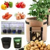 2 Stück Pflanztasche Kartoffel Tomaten Erdnüsse Gemüse Produktbild-Vorschau 8