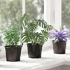 Maison Exclusive - Runder Blumentopf 50 pcs Schwarz Ø 10 x Produktbild-Vorschau 5