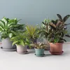 Pflanzkübel GREENER GUYA 20 cm grün Produktbild-Vorschau 3
