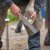 Doppelseitiges Hufraspel 200mm aus Kohlenstoffstahl mit Produktbild-Vorschau 5