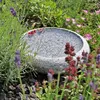 CLGarden Granit Vogelbad Ø 35cm rund Vogeltränke Naturstein Produktbild-Vorschau 6