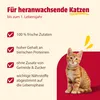 animonda Carny Kitten Geflügel-Cocktail, 12 x 400 g, ohne Produktbild-Vorschau 2