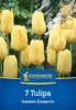 Artikelbild 2 von 'Fosteriana-Tulpe Golden Emperor (7 Stück)' aus der Kategorie Tulpenzwiebeln Produktbild-Vorschau