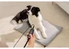 Beurer Love Your Pet Heizmatte L Sammy für Hunde und Produktbild-Vorschau 13