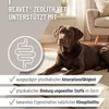 REAVET Zeolith für Hunde 700g – 94% Klinoptilolith Pulver I Produktbild-Vorschau 2