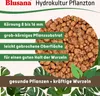 Blusana Blähton Hydrokultur & Drainage Tongranulat Produktbild-Vorschau 7