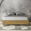 ITYHOME - Gepolstertes Bett mit Bettkasten 160x210 mit Produktbild-Vorschau 2