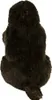 A stuffed toy animal, viewed from the back. Produktbild-Vorschau