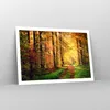 Poster - Poster ohne Rahmen - Wald Baum Natur - 91,5x61 cm Produktbild-Vorschau 7
