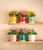 Dehner Übertopf Eno, runder Indoor Blumentopf, Ø außen 16.5 Produktbild-Vorschau 2