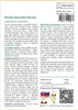 SAFLAX - Africká obrovská tekvica - Lagenaria siceraria - Náhľad obrázku produktu 3