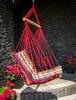 A colorful striped hanging chair is suspended in front of a dark stone wall, with pink flowers in pots on either side. Náhled obrázku produktu