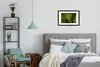 MuchoWow® MuchoWow® Gerahmtes Poster Rotaugenlaubfrosch im Produktbild-Vorschau 5