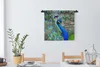 MuchoWow® Wandteppich Wandbehang Porträt - Pfau - Federn Produktbild-Vorschau 2
