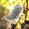 50 Stück Obst Schutzbeutel mit Kordelzug, Insekten Produktbild-Vorschau 2