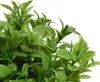 Plante artificielle dans pot tressé 13cm, 1 pièce assortie Voir les images du produit 3