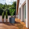 A modern balcony with wooden decking, featuring several potted plants, including a large jade plant in an anthracite planter and two cypress trees in textured brown planters. The scene is set against a backdrop of lush green trees and a partly cloudy sky,  Anteprima dell’immagine prodotto