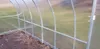 Serra KLASIKA TUBE 3x4m con fondamenta e policarbonato da 6 Anteprima dell’immagine prodotto 10
