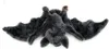 Onwomania Plüschtier Kuscheltier Stoff Tier Fledermaus Produktbild-Vorschau 1