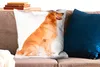 MuchoWow® Zierkissen Sofakissen Wohnzimmer Dekokissen 60x60 Produktbild-Vorschau 2