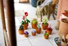 LEGO® Icons 10329 Miniatúrne rastliny Náhľad obrázku produktu 41