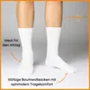 10 Paar Socken 100% Baumwolle Damen & Herren Socken ohne Produktbild-Vorschau 3