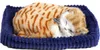 Perfect Petzzz Soft Orange Cat Voir les images du produit 1
