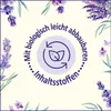 Le Petit Marseillais Duschcreme Lavendel aus der Provence Produktbild-Vorschau 2