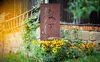 Paravent, Schutzwand für Terrasse, Gartendekoration 160x50 Produktbild-Vorschau 5