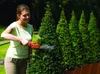 Black&Decker Akku-Gras- und Strauschere, 7V Li-Ion GSL700 Podgląd zdjęcia produktu 5
