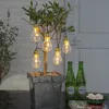 LED-Lichterkette 'Glow Battery', 5 teilig, klar Produktbild-Vorschau 17