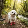 Wodoodporne buty dla psa czerwone z podeszwą antypoślizgową Podgląd zdjęcia produktu 4